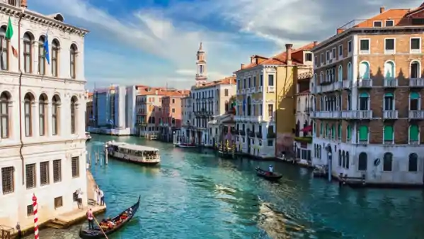 venice floating city wooden piles history