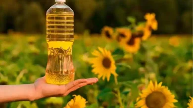 sunflower canola oil health benefits or risks