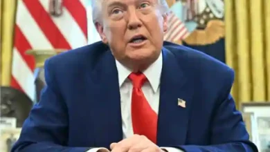 trump orders ice crackdown