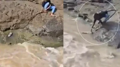 ayush yadav drowns seoni river