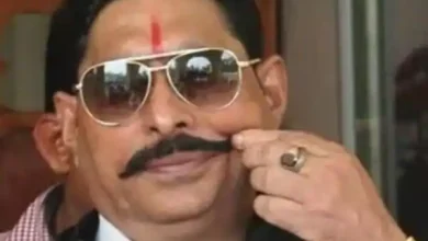 anant singh bail case