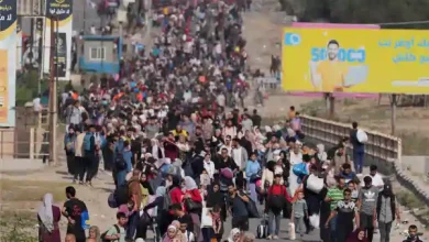 us official fired palestine