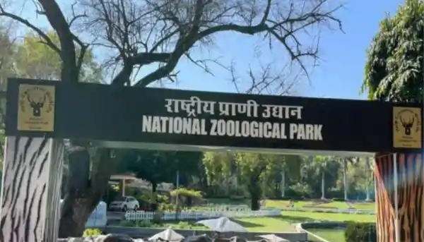 delhi zoo bird flu