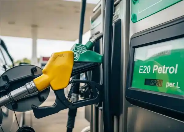 e20 petrol supreme court