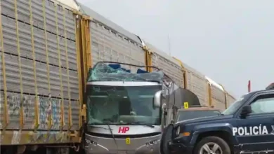 mexico train bus accident
