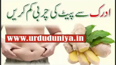 ginger fat loss drink