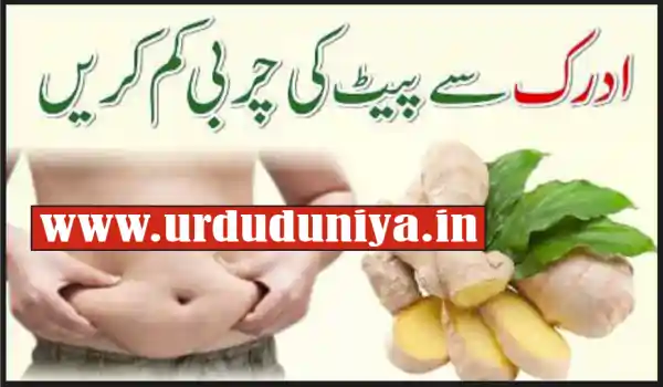 ginger fat loss drink