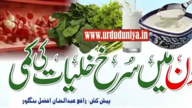 increase blood level foods