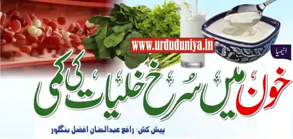 increase blood level foods