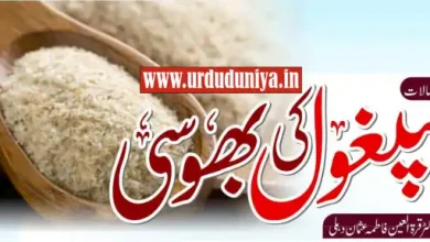 ispaghol husk benefits