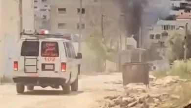 israeli brutality jenin