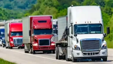 indian truck drivers usa language rules