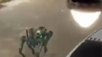 jordan parabot robot operation