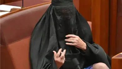 pauline hanson burqa senate protest