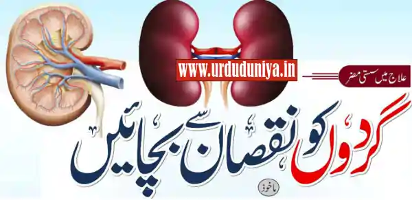 protect kidneys urdu news