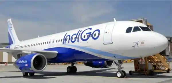 indigo flight