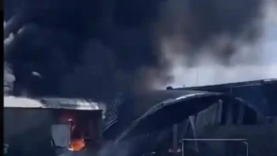 mexico private jet crash