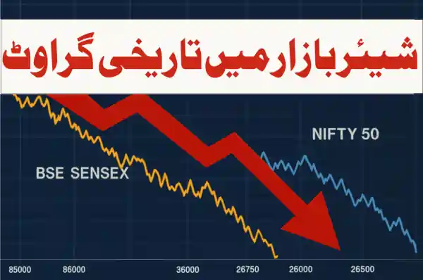 stock market crash india