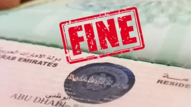 uae visa laws fines