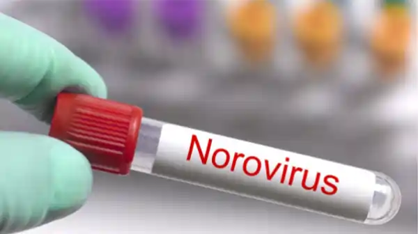 china school norovirus outbreak