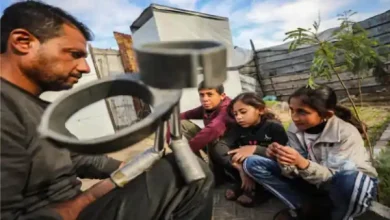 mohammad nasir gaza resilience