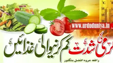 cooling foods for summer heat