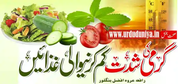 cooling foods for summer heat