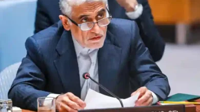 iran un ambassador amir saeid iravani