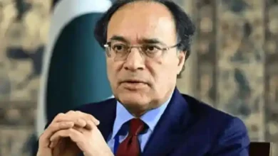 pakistan finance minister muhammad aurangzeb
