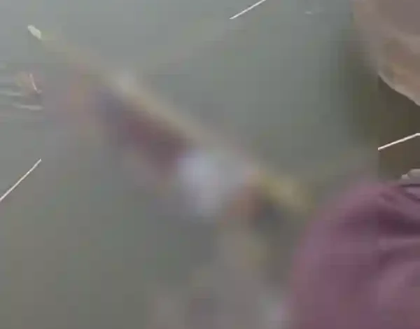 amroha ganga tantrik ritual boy death