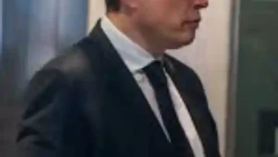 elon musk iphone 17 pro max