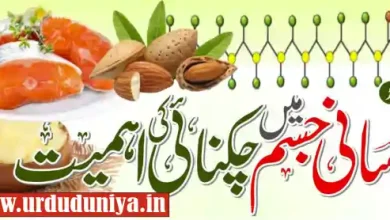 healthy fats nutrition