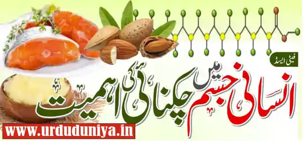 healthy fats nutrition