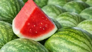 how to choose sweet watermelon tips guide