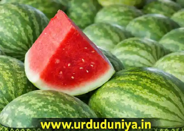 how to choose sweet watermelon tips guide