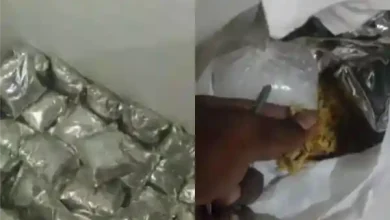 hyderabad stale biryani raid