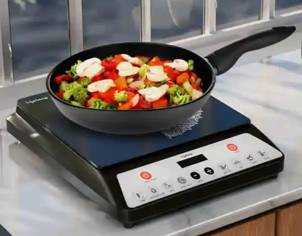 induction stove india energy crisis