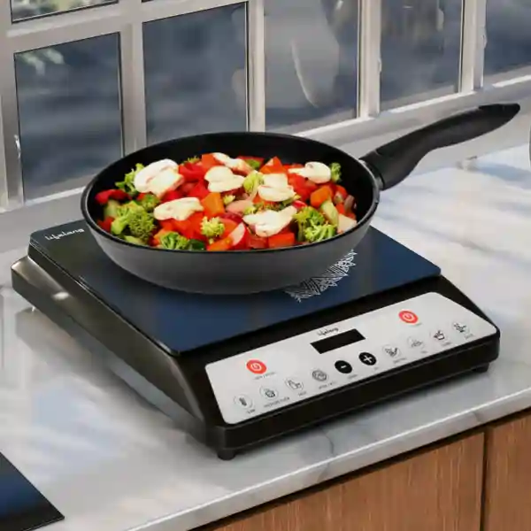 induction stove india energy crisis