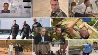 israel idf halevi hack leak