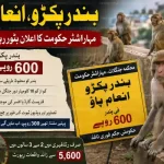 maharashtra monkey reward scheme