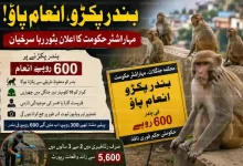 maharashtra monkey reward scheme