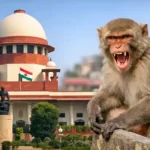 supreme court monkey control tender india