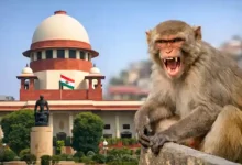 supreme court monkey control tender india