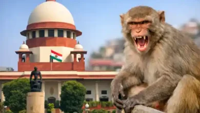 supreme court monkey control tender india