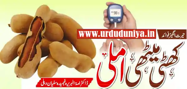 tamarind sharbat benefits