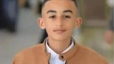 wadie alian secret cemetery israel