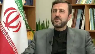 iran deputy foreign minister kazem gharibabadi