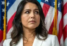us representative tulsi gabbard