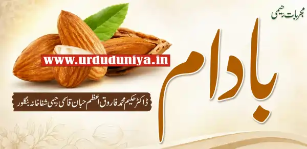 almond health benefits urdu