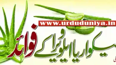 aloe vera health benefits urdu